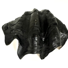 Load image into Gallery viewer, IF SIX WAS NINE/SHELL PLATE-001