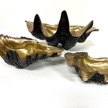 Load image into Gallery viewer, IF SIX WAS NINE/SHELL PLATE-001