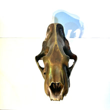 Load image into Gallery viewer, IF SIX WAS NINE FURNITURE/SABER TIGER/BRASS