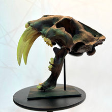 Load image into Gallery viewer, IF SIX WAS NINE/SABER TIGER Reprica