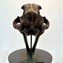 Load image into Gallery viewer, IF SIX WAS NINE/SABER TIGER Reprica