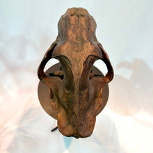 Load image into Gallery viewer, IF SIX WAS NINE/SABER TIGER Reprica