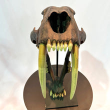 Load image into Gallery viewer, IF SIX WAS NINE/SABER TIGER Reprica