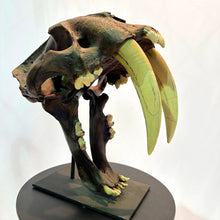 Load image into Gallery viewer, IF SIX WAS NINE/SABER TIGER Reprica