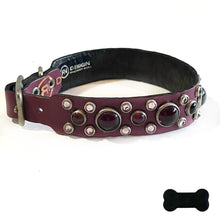 Load image into Gallery viewer, RN Design/Dog collar - Grape
