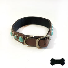 Load image into Gallery viewer, RN Design/Dog collar - Chestnut x Turq
