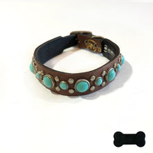 Load image into Gallery viewer, RN Design/Dog collar - Chestnut x Turq
