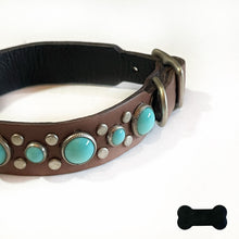 Load image into Gallery viewer, RN Design/Dog collar - Chestnut x Turq
