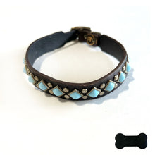 Load image into Gallery viewer, RN Design/Dog collar - Choco Brown x Lt Turq
