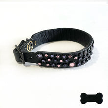 Load image into Gallery viewer, RN Design/Dog collar - Black x Pink Grape
