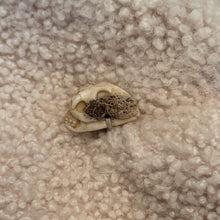 Load image into Gallery viewer, IF SIX WAS NINE/BRONDY
