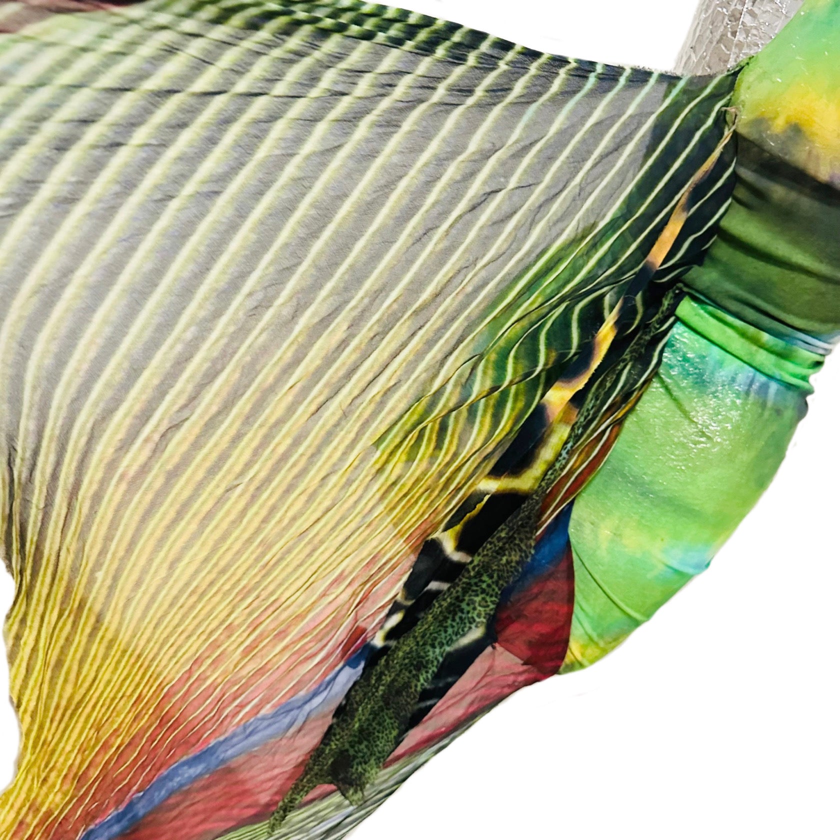 IF SIX WAS NINE/KERALA – CIRCUS by MANIAC