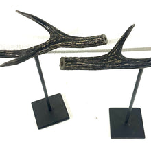 Load image into Gallery viewer, IF SIX WAS NINE/Dragon Horn (2 pieces set)
