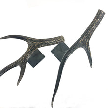 Load image into Gallery viewer, IF SIX WAS NINE/Dragon Horn (2 pieces set)
