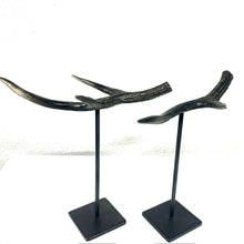 Load image into Gallery viewer, IF SIX WAS NINE/Dragon Horn (2 pieces set)
