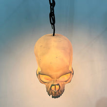 Load image into Gallery viewer, IF SIX WAS NINE/SKULL LIGHT
