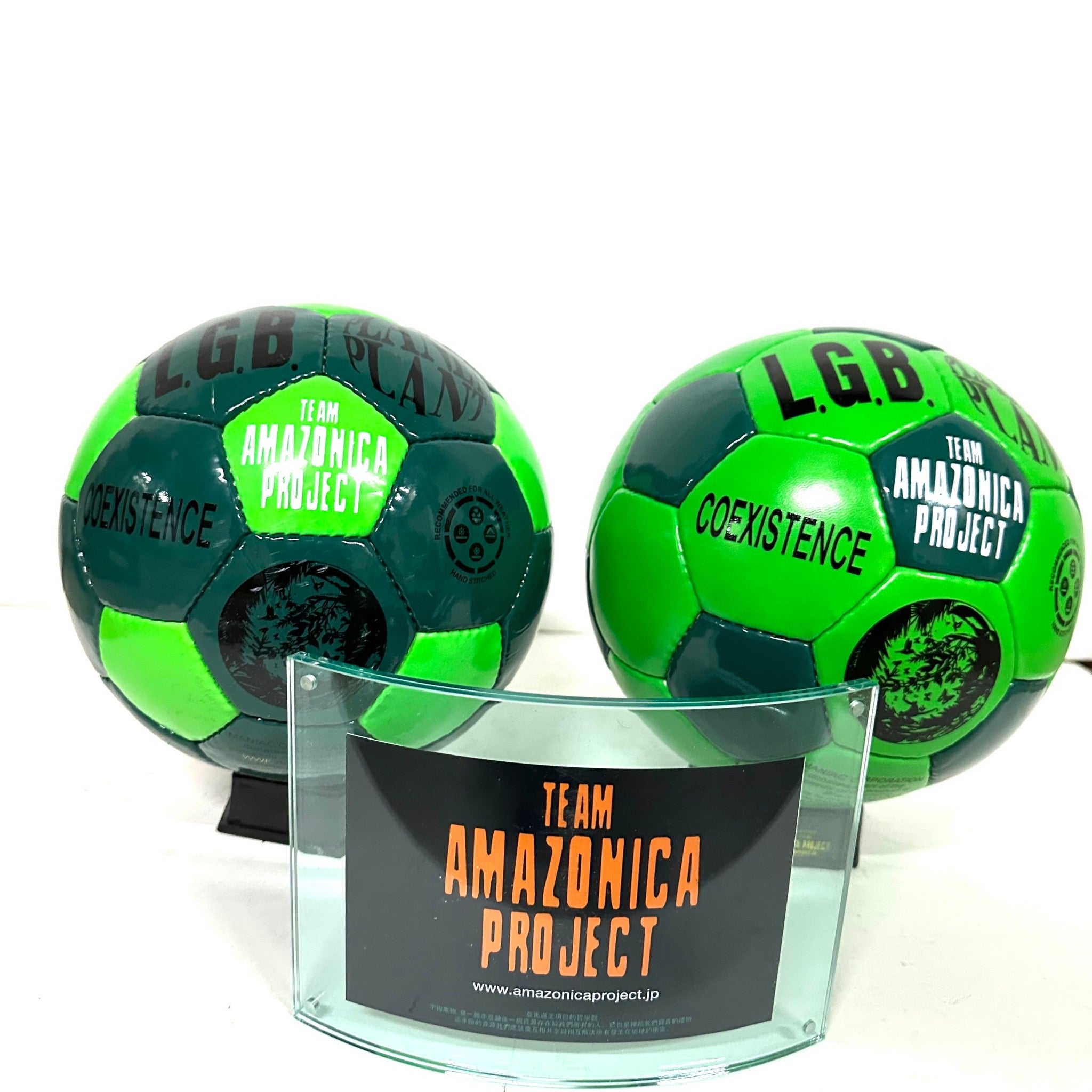 L.G.B./TEAM AMAZONICA PROJECT/SOCCER BALL-002 – CIRCUS by MANIAC