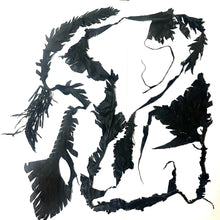 Load image into Gallery viewer, IF SIX WAS NINE/STOLE Shadow of Jungle

