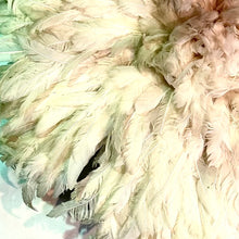 Load image into Gallery viewer, IF SIX WAS NINE/Wall hanging“Feathers”/Off White
