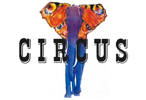 IF SIX WAS NINE / ALL ITEMS – CIRCUS by MANIAC