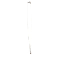 Load image into Gallery viewer, AVATA/TINY HEART-003 NECKLACE
